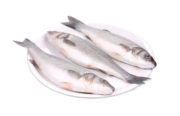 Three fresh seabass fish on plate. — Stock Photo, Image