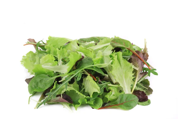 Salad mix. — Stock Photo, Image