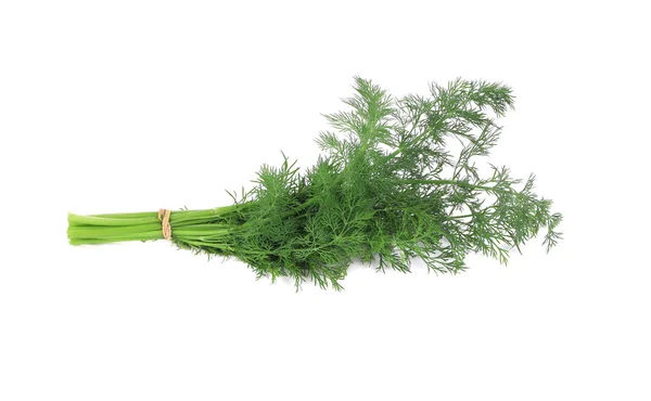 Massa färsk dill. — Stockfoto