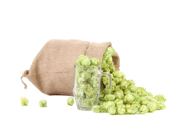 Becher und Tasche mit Hopfen. — Stockfoto