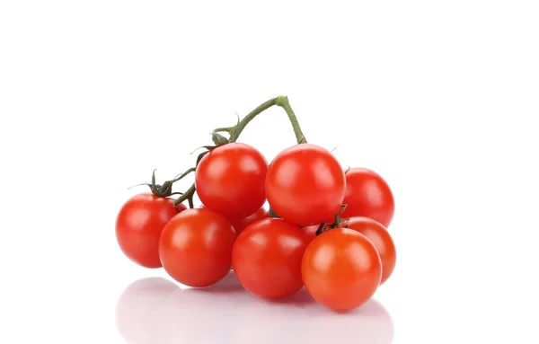 Primer plano de tomates frescos. — Foto de Stock