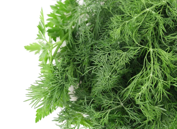 Texture of fresh herb close up. — Stock Photo, Image