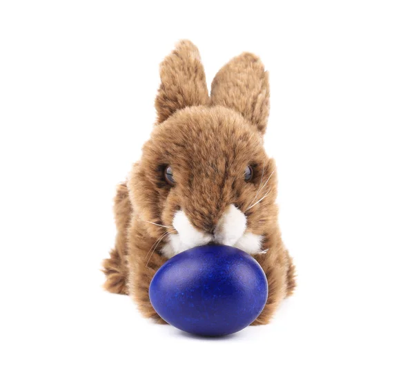 Easter rabbit and blue egg. — Stock Photo, Image