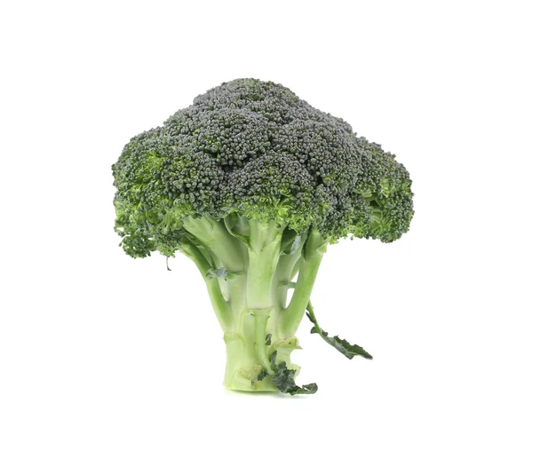 Verse broccoli. — Stockfoto