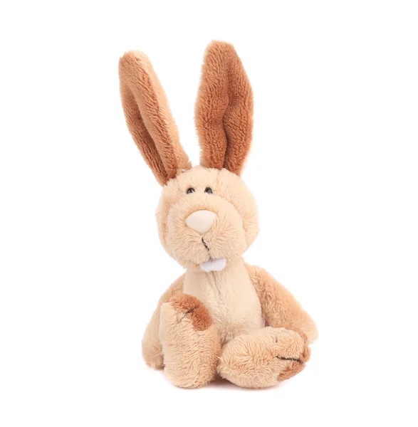Fluffy easter rabbit. — Stock Photo, Image