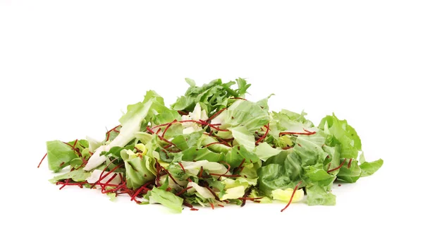 Grüne Salatblätter. — Stockfoto