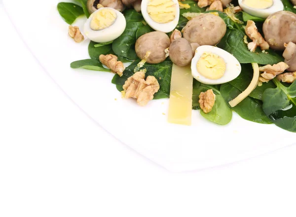 Großaufnahme von Pilzsalat. — Stockfoto