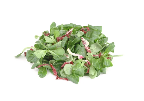 Close up of basil with cabbage. — Stock Photo, Image