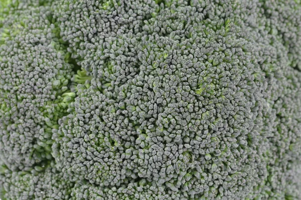Świeże brokuły z bliska. makro. — Zdjęcie stockowe