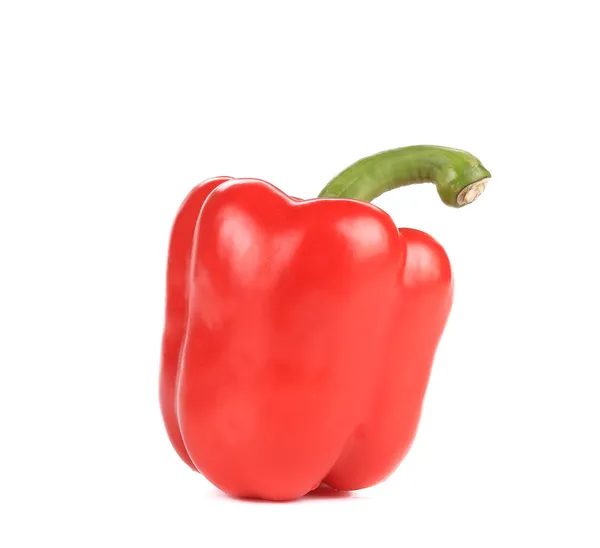 Sweet red pepper. — Stock Photo, Image