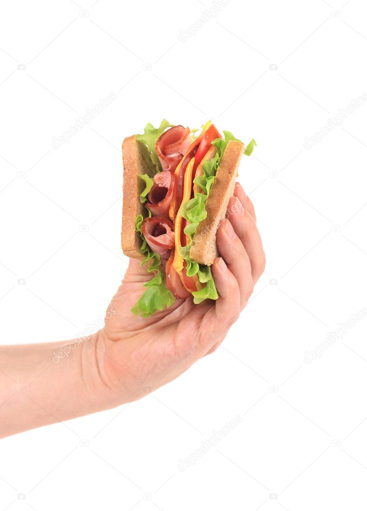 Hand holding tasty sandwich.