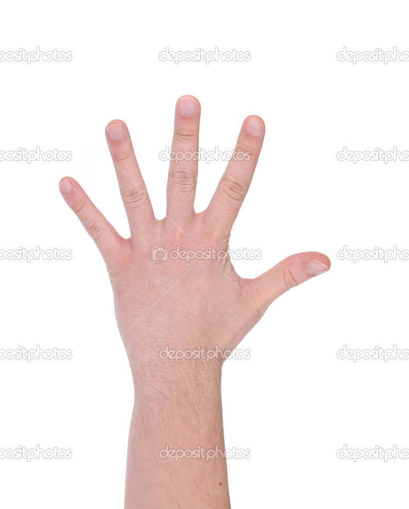 Five fingers. Man's hand.
