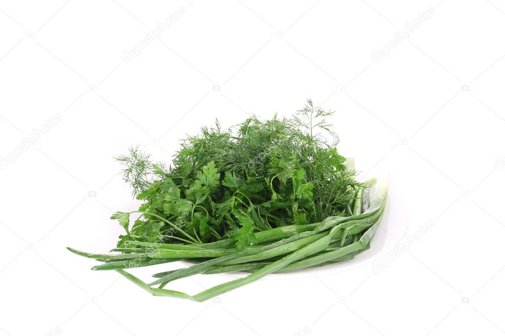 Parsley fennel and green onions.