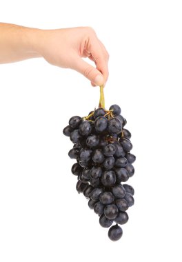 siyah üzüm el.