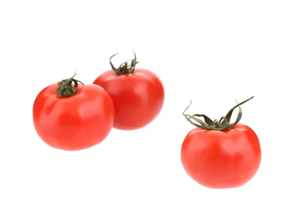 Tres tomates frescos . — Foto de Stock