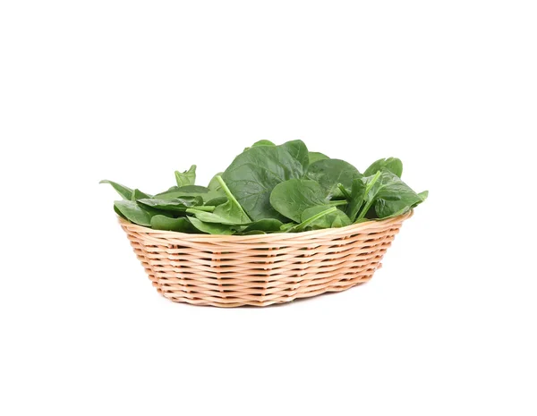 Spinach in the basket. — Stock Photo, Image