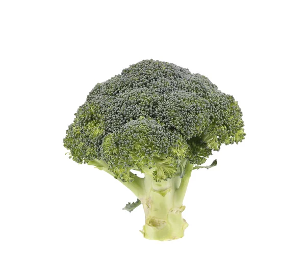 Brócolis vegetal . — Fotografia de Stock