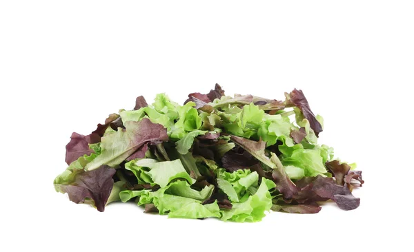 Green and red leaf of lettuce close up. — Stock Photo, Image