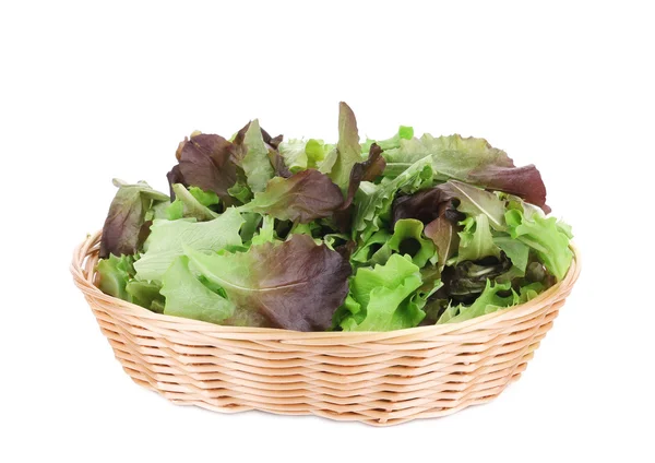 Green and red leaf of lettuce close up. — Stock Photo, Image