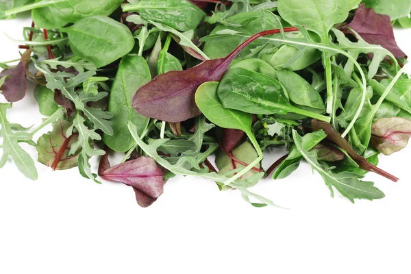 Mix salad close up. — Stock Photo, Image