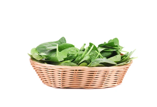 Close up of green spinach in basket. — Stock Photo, Image