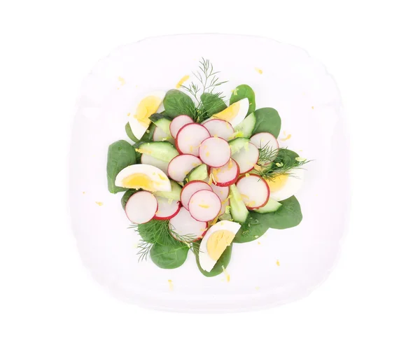 Radijs salade. — Stockfoto