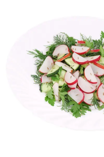 Close up van salade met radijs en komijn. — Stockfoto