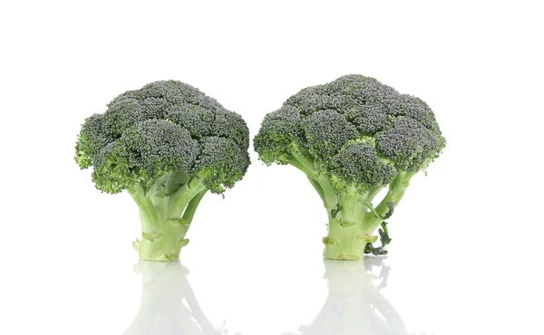 Twee rijpe broccoli. — Stockfoto