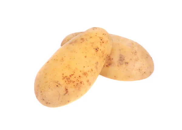 Twee rijpe aardappelen. — Stockfoto