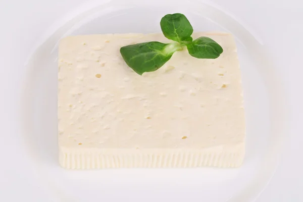 Tasty feta cheese on plate with herb. — Stock Photo, Image