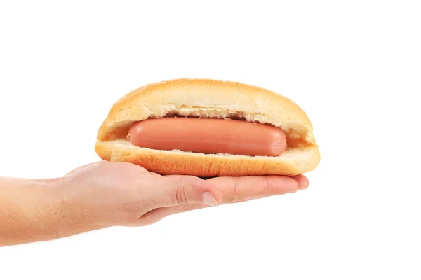 Hot dog fresco in mano . — Foto Stock