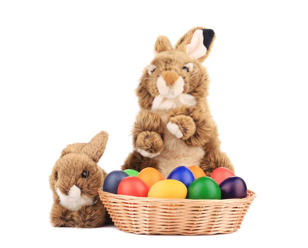 Conejo foxy esponjoso en cesta con huevos de Pascua . — Foto de Stock