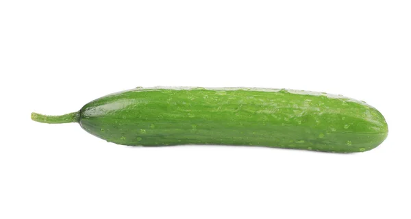 Fresh beautiful cucumber. — Stock Photo, Image