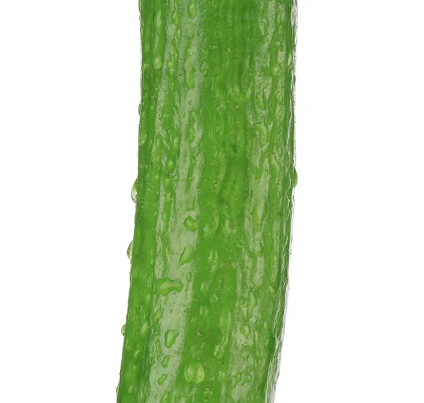 Close up of fresh cucumber. — Stock Photo, Image