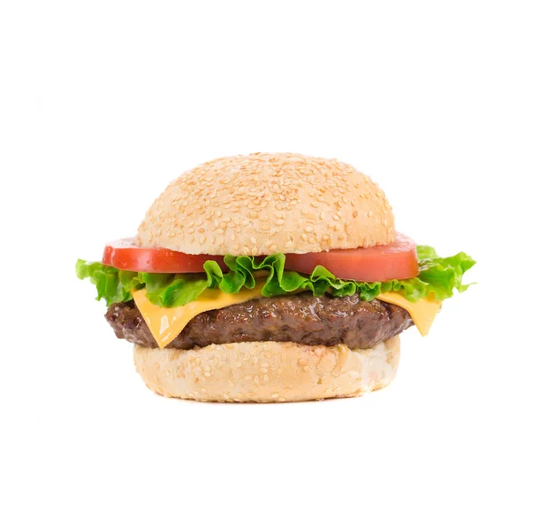 Smakelijk fastfood-hamburger. — Stockfoto