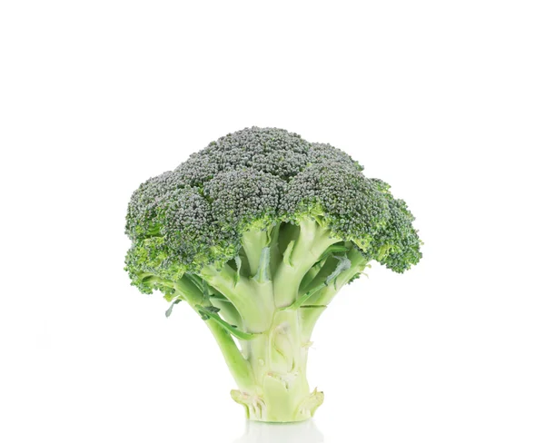 Close-up van rijp broccoli. — Stockfoto