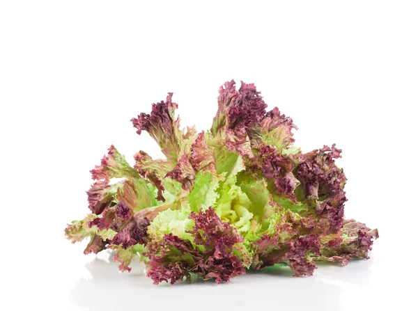 Red lettuce isolated on white. — Stock Photo, Image