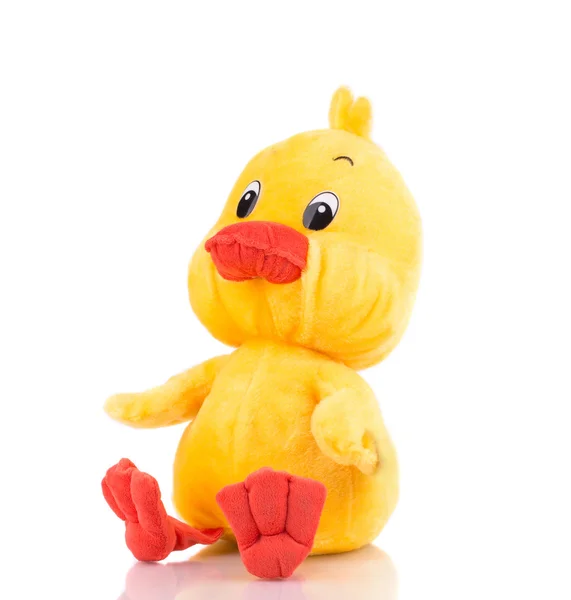 Close up of toy duck. — Stock Photo, Image