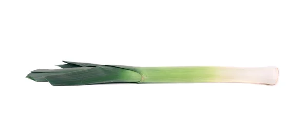 Velké velšský zelený pórek. — Stock fotografie
