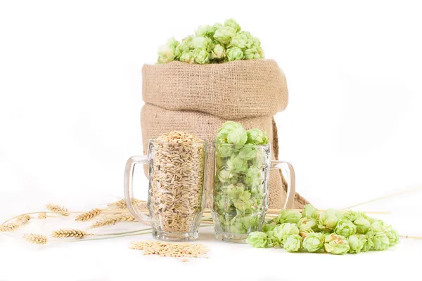 Zwei Becher mit Gerste und Hopfen. — Stockfoto