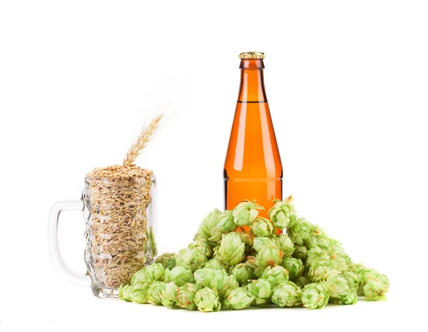 Krug mit Hopfen und Flasche Bier. — Stockfoto