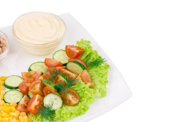Tuna salad with sauce and vegetables. — Stock Photo, Image