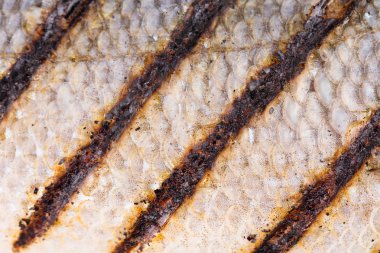 balık ızgara cilt dokusu