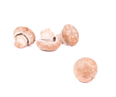 champignon mantarları.