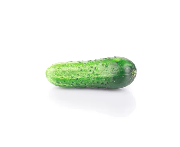 Fresh cucumber. — Stock Photo, Image