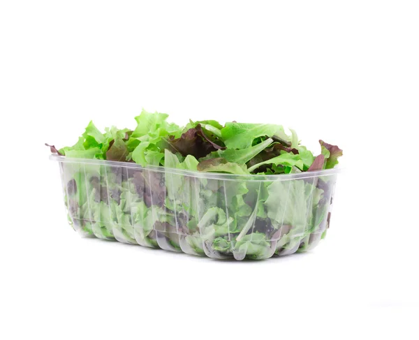 Lettuce salad — Stock Photo, Image