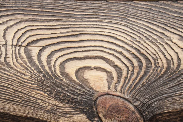 Texture of wood. — Stock Photo, Image