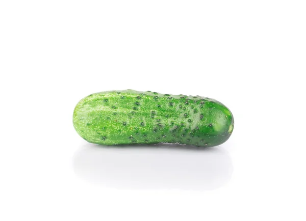 Fresh green cucumber. — Stock Photo, Image