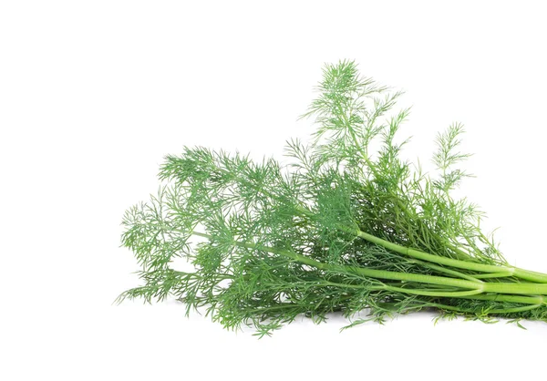 Taze dereotu herb. — Stok fotoğraf