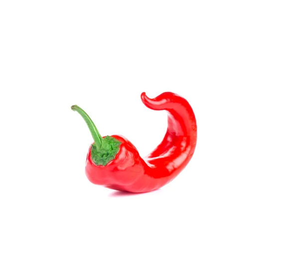 Rode chili peper. — Stockfoto